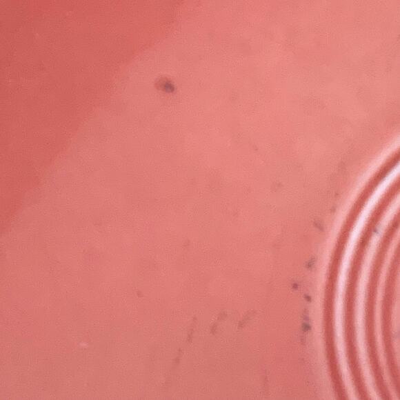 Fiesta Fiestaware Retired Persimmon Handled Cake Plate Hostess Plate 1995-2008 - Picture 5 of 7